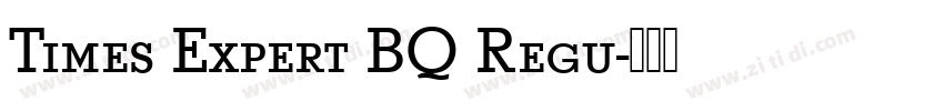 Times Expert BQ Regu字体转换